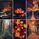 Fall Phone Wallpapers