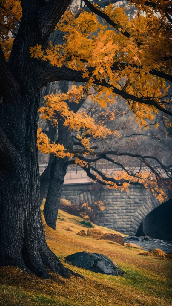 fall phone wallpaper moody