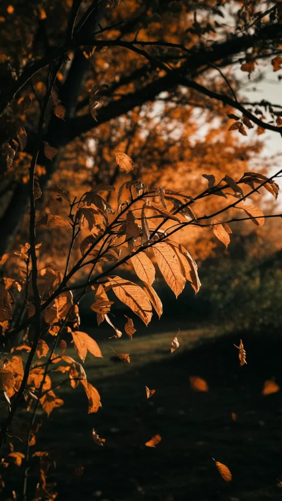 phone wallpaper early fall