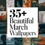 march wallpapers