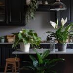 moody kitchens
