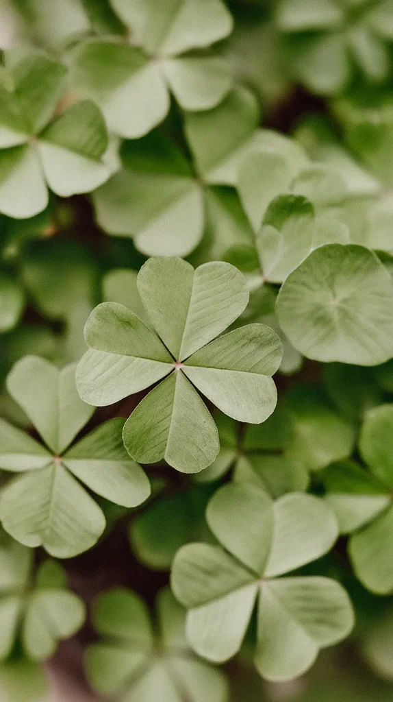 A Sweet Twist for St. Patrick’s Day