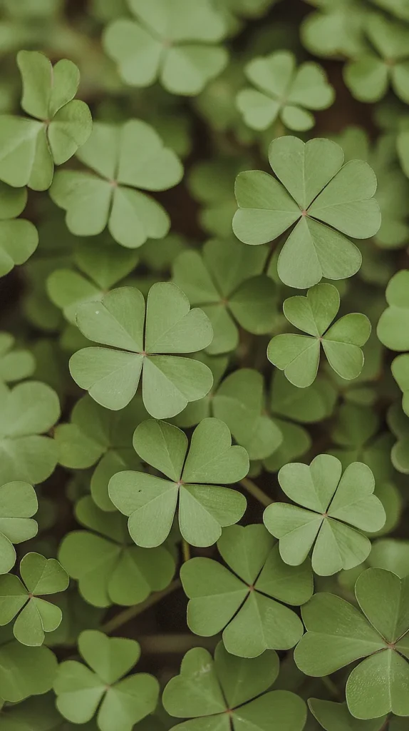 A Sweet Twist for St. Patrick’s Day
