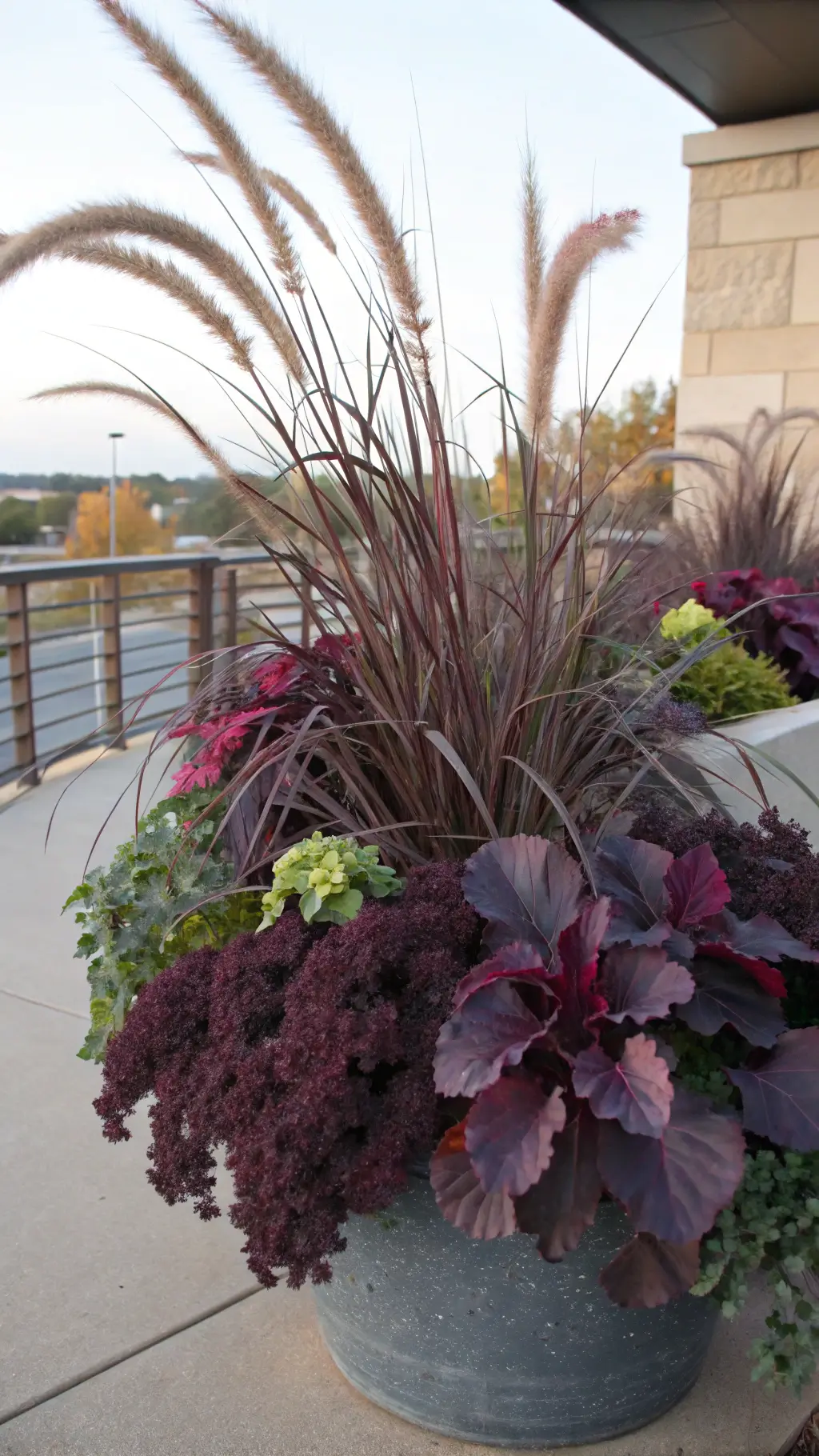 Close-up of a fall planter with tall Purple Fountain Grass, burgundy Heuchera leaves, silvery-purple ornamental kale, and chartreuse Sweet Potato Vine cascading over a charcoal container, with water droplets visible on foliage.